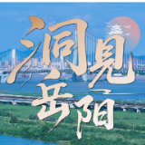 洞见岳阳丨打一场“清剿”加拿大一枝黄花的人民战争
