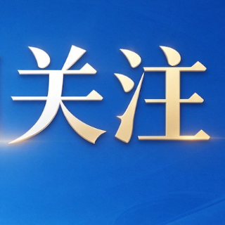 胃里也会“长石头”?了解胃石症的形成过程
