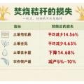 关于秸秆:那些“老祖宗都在烧”的误区