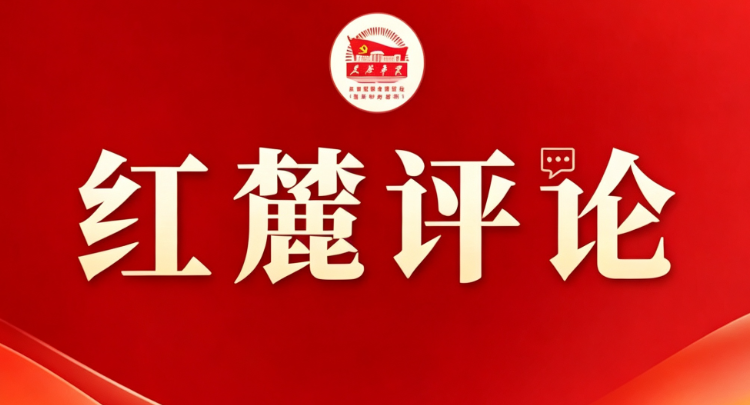 红麓评论：县域经济如何避免同质化竞争？
