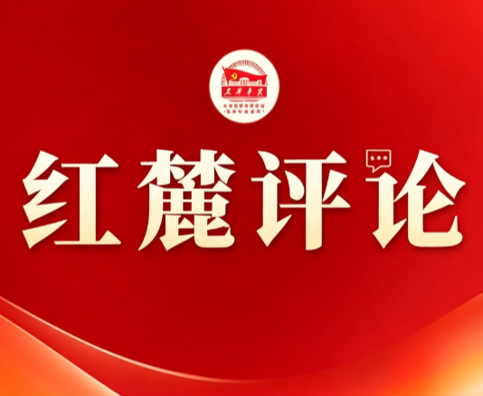 红麓评论:县域经济如何避免同质化竞争?