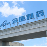 尔康制药：第三季度净利润同比增长1340.09%，辅料结构优化与海外项目同步推进