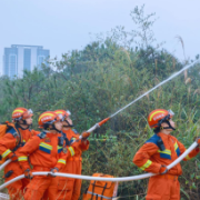 长沙经开消防：砺剑山林强本领 以练备战护平安