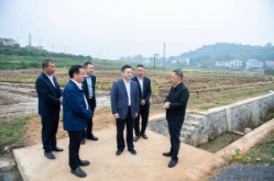 何朝晖：精准发力纵深推进集中整治 切实维护群众合法权益