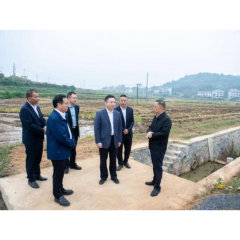 何朝晖：精准发力纵深推进集中整治 切实维护群众合法权益