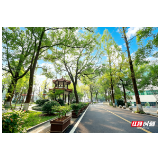 向下扎根沉淀,向上向阳生长|笃学楼里这堂课,藏着青年教师成长答案