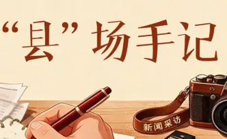 “县”场手记丨一月一桥，把水乡的日子讲给你听