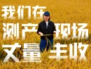 视频丨从稻田到数字！我们在测产现场丈量丰收