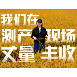 视频丨从稻田到数字！我们在测产现场丈量丰收
