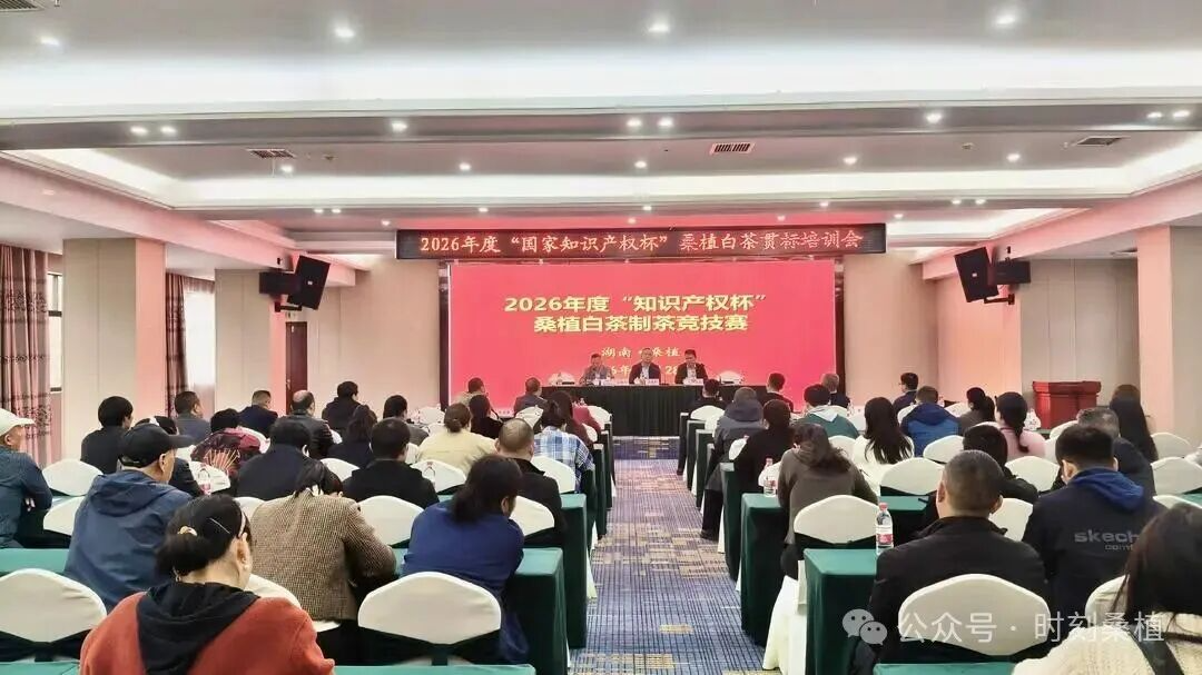 “知识产权杯”桑植白茶贯标培训会暨制茶竞技赛举办