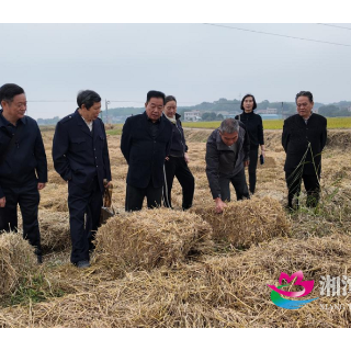 湘潭县:银发专家送技到田头 秸秆综合利用有良方
