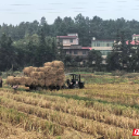 点“秆”成金！安仁县牌楼乡疏堵结合，让秸秆“有去处”更“有出路”