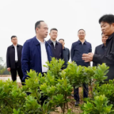 唐浩然赴湘阴县调研乡村振兴工作