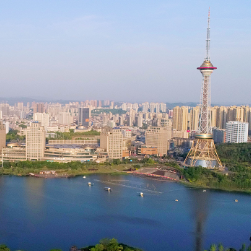 以案说险|新车被撞,折旧费保险赔不赔?