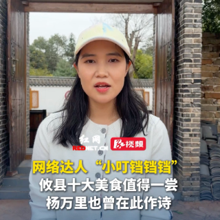云游湘赣边丨网络达人“小叮铛铛铛”：攸县十大美食值得一尝！