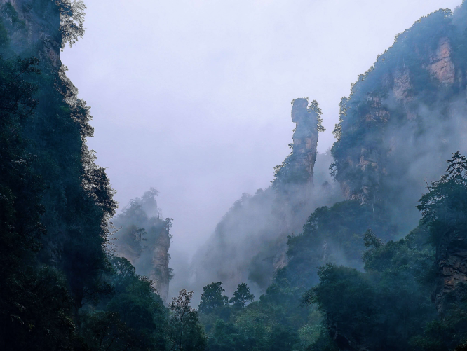 张家界十里画廊：云雾作笔，峰林为卷，小火车穿画而行