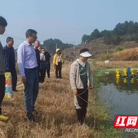 省科技特派员下沉茶陵一线,“把脉问诊”水产养殖