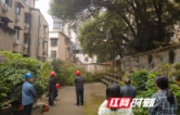 雨邻有约｜多方联动三天攻坚，四株危树消除隐患