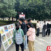 永州四中:五育并举润沃土 体艺相融绽芳华