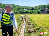 安仁县洋际乡：在田埂上聚起管护合力
