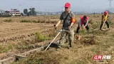 安仁县灵官镇：算好四笔账 管好万亩田