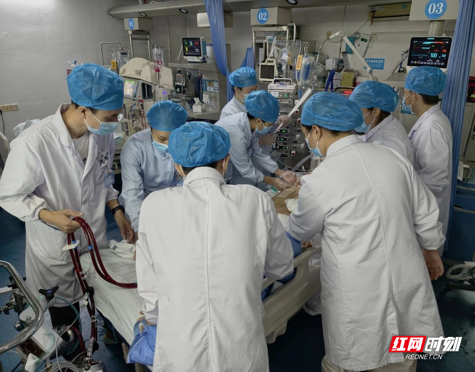 微信图片_2026-10-31_104525_554.jpg 微信图片_2026-10-31_104525_554.jpg